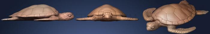 3D model Sea Turtle (1) (STL)